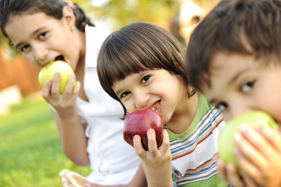 OMS alerta para alimentação das crianças durante as férias